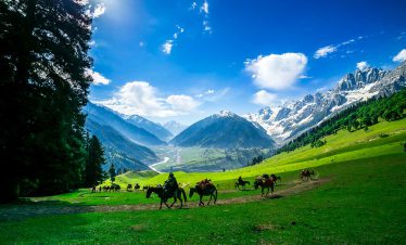 Kashmir Paradise Tour