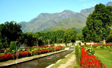 Delightful Kashmir